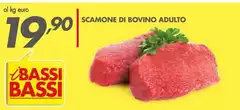 Bassi - Scamone Di Bovino Adulto