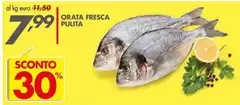 Orata Fresca Pulita