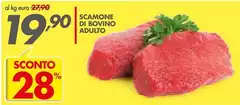 Scamone Di Bovino Adulto