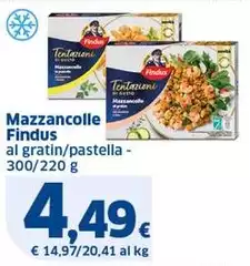 Findus - Mazzancolle Findus - Mazzancolle