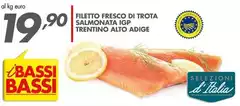 Bassi - Filetto Fresco Di Trota Salmonata IGP Trentino Alto Adige