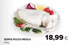 Seppia Pulita Fresca