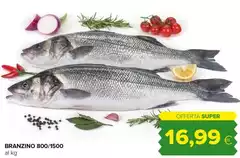 Branzino 800/1500