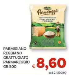 Parmareggio - Parmigiano Reggiano Grattugiato