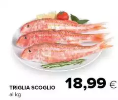 Triglia Scoglio