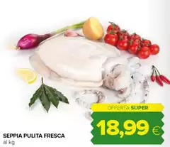 Seppia Pulita Fresca