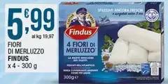 Findus - Fiori Di Merluzzo