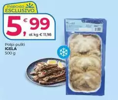 Igela - Polpi Puliti