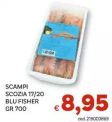 Blu - Scampi Scozia 17/20  Fisher