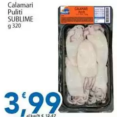 Sublime - Calamari Puliti