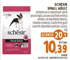 Schesir - Small Adult