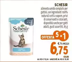 Schesir - Alimento Umido Completo Per Gattini