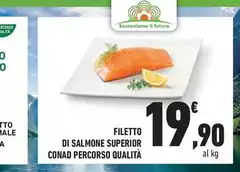 Conad - Filetto Di Salmone Superior Percorso Qualità