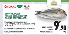 Conad - Orate Fresche Percorso Qualità