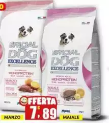 Special Dog - Maiale