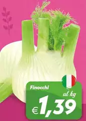 Finocchi Finocchi