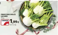 Lucano - Finocchio Dolce