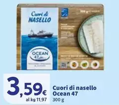 Ocean 47 - Cuori Di Nasello
