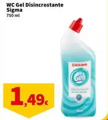 Sigma - Wc Gel Disincrostante