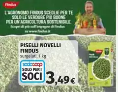 Findus - Piselli Novelli Findus - Piselli Novelli