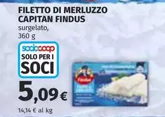 Findus - Filetto Di Merluzzo Findus - Filetto Di Merluzzo
