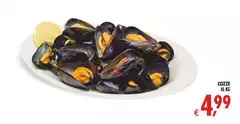 Cozze