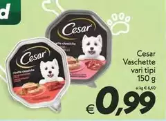 Cesar - Vaschette