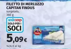 Findus - Filetto Di Merluzzo Findus - Filetto Di Merluzzo