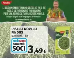 Findus - Piselli Novelli Findus - Piselli Novelli