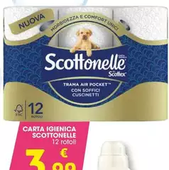 U! - Carta Igienica U! - Carta Igienica