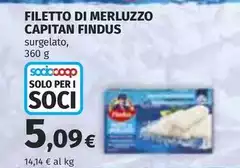 Findus - Filetto Di Merluzzo