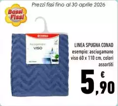 Bassi - Linea Spugna