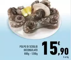 Polpo Di Scoglio Polpo Di Scoglio