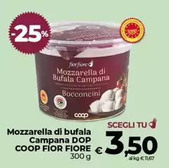 Fior Fiore - Mozzarella Di Bufala Campana DOP