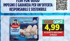Findus - Impegno E Garanzia Per Un'offerta Responsabile E Sostenibile Findus - Impegno E Garanzia Per Un'offerta Responsabile E Sostenibile