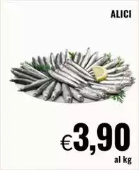 Alici Alici