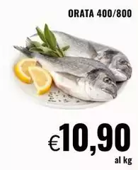 Orata Orata