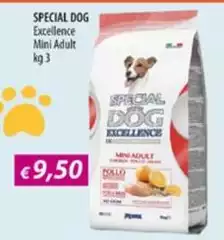 Monge - Special Dog Monge - Special Dog