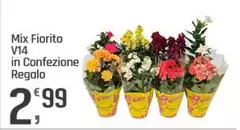 Mix Fiorito V14 In Confezione Regalo