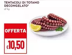 Tentacoli Di Totano Decongelato