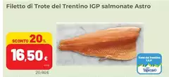 Trentino - Filetto Di Trote Del  IGP Salmonate Astro