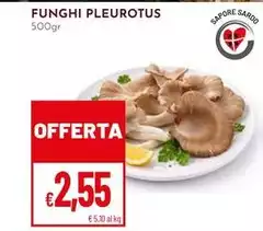 Funghi Pleirotus