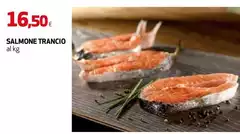 Salmone Trancio