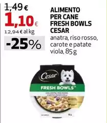 Cesar - Alimento Per Cane Fresh Bowls