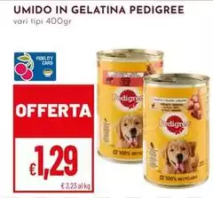 Pedigree - Umido In Gelatina