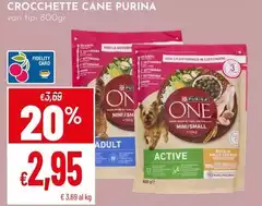 Purina - Crocchette Cane