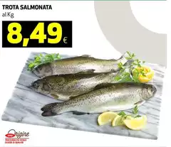 Origine - Trota Salmonata