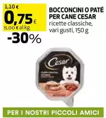 Cesar - Bocconcini O Pate Per Cane