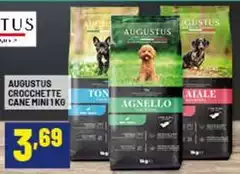 Crocchette Cane Mini