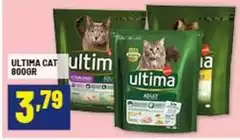 Ultima - Cat Ultima - Cat
